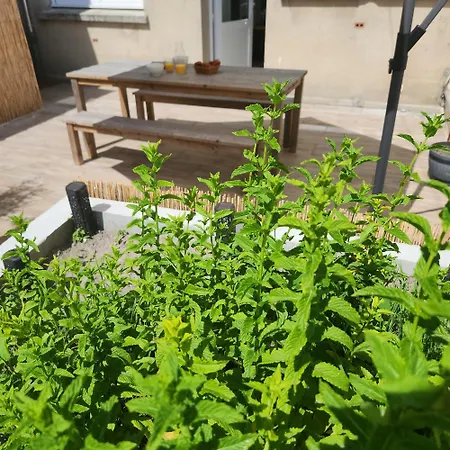 3 Etoiles A Lessay, Jardin Clos, 3 Chambres, Proche Plages, Chiens Acceptes