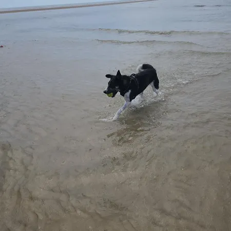 Ferienhaus 3 Etoiles A Lessay, Jardin Clos, 3 Chambres, Proche Plages, Chiens Acceptes