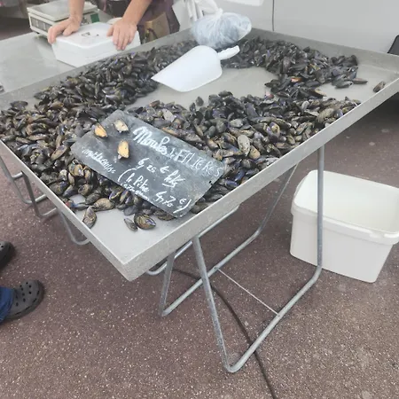 Casa vacanze 3 étoiles à Lessay, Jardin Clos, 3 Chambres, Proche Plages, Chiens Acceptés Lessay